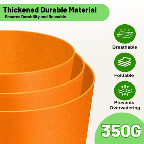 Fhyisble grow bag with black base for heat retention in cool seasons.