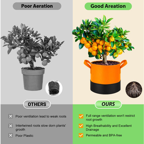 Fhyisble season-temperature control helps roots stay comfortable year-round.