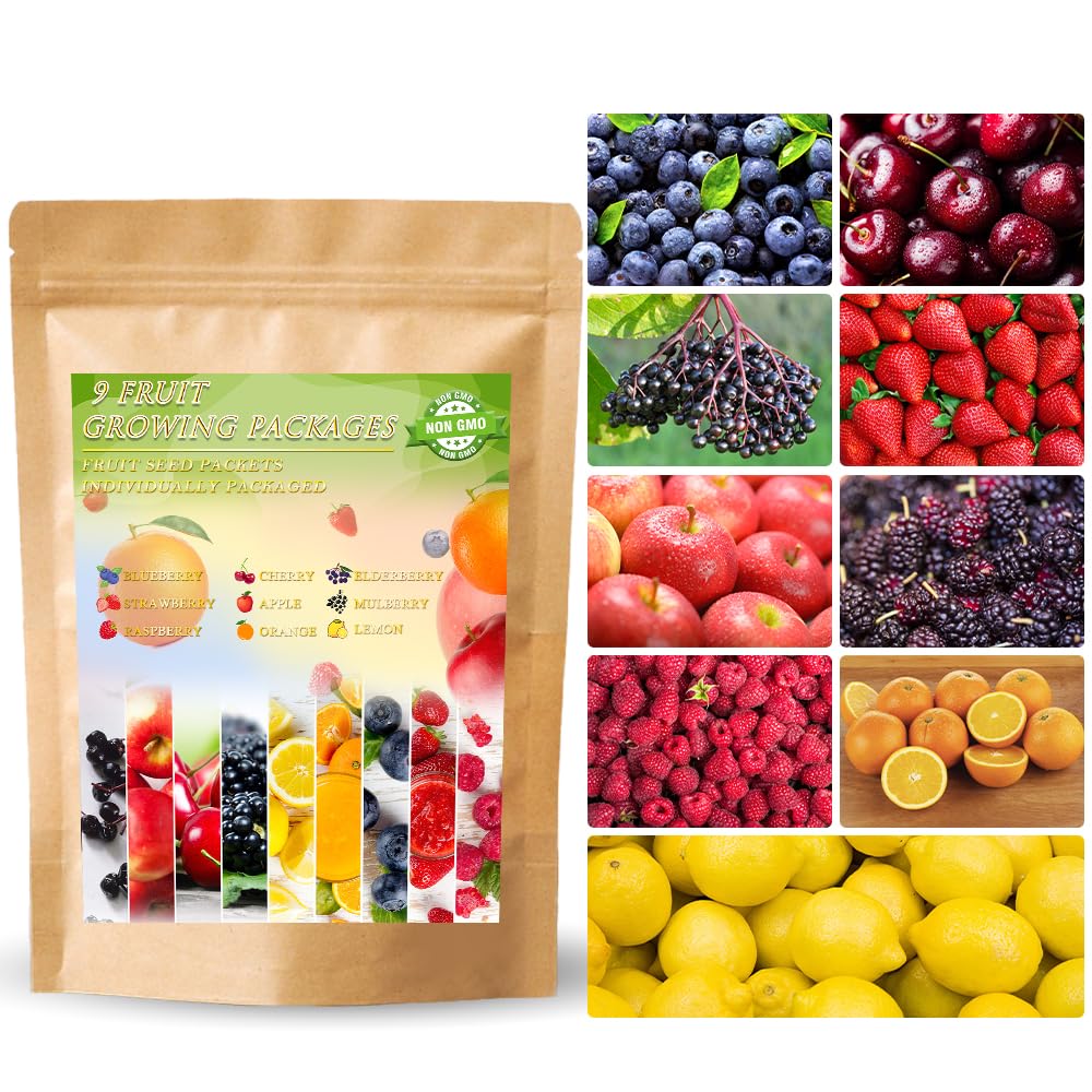 Ficoszo 1200+ mix fruit seeds collection for home garden planning and diverse harvest