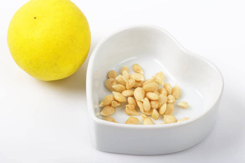 Ficoszo lemon seeds soak prep demonstrates pre-treatment for reliable germination.