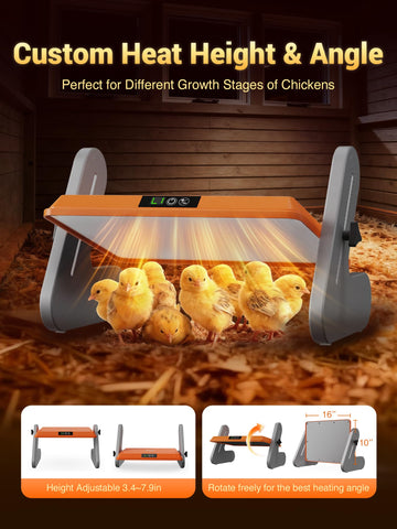Ficuswin brooder plate with 3-settings dial helps caregivers adjust temperature easily.
