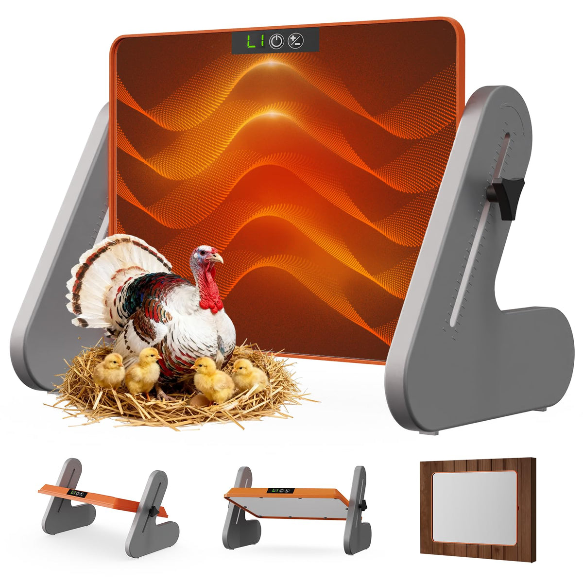 Ficuswin brooder plate provides sun-like warmth for chicks in a safe environment.