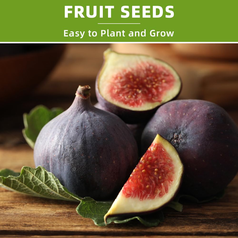 Ficoszo kiwi seed germination setup supports healthy sprouts in warm, moist conditions.