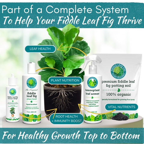 Fiddle Leaf Fig Plant Food chunky mix featuring bark and compost for aeration