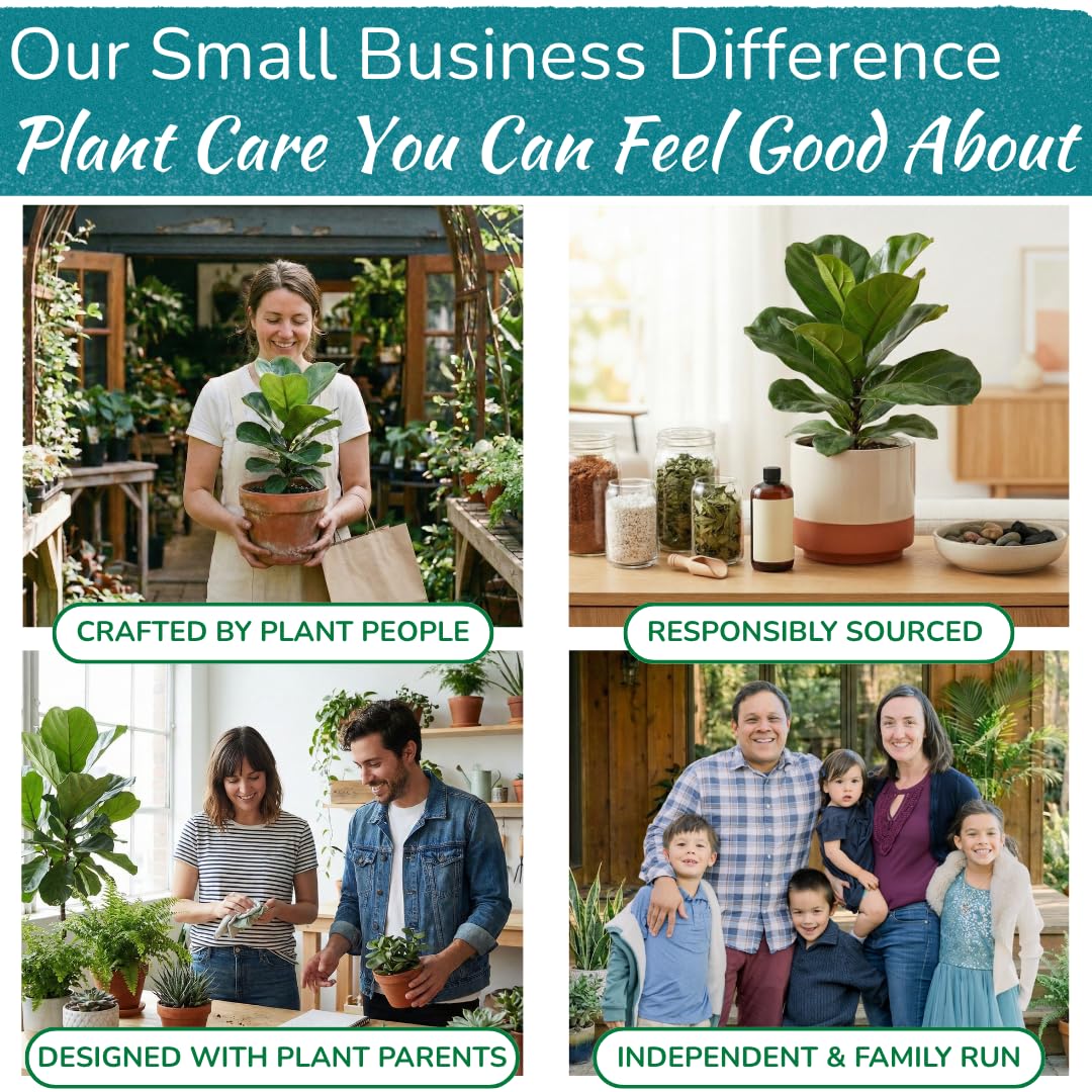 Fiddle Leaf Fig battery-free meter works indoors and outdoors for flexibility.