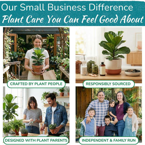 Fiddle Leaf Fig battery-free meter works indoors and outdoors for flexibility.