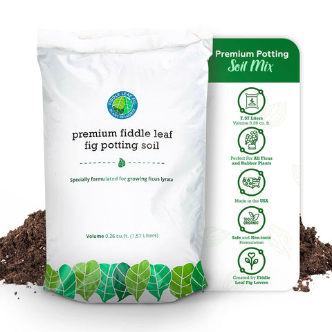Fiddle Leaf Fig Plant Food with biochar boosts soil life and moisture retention