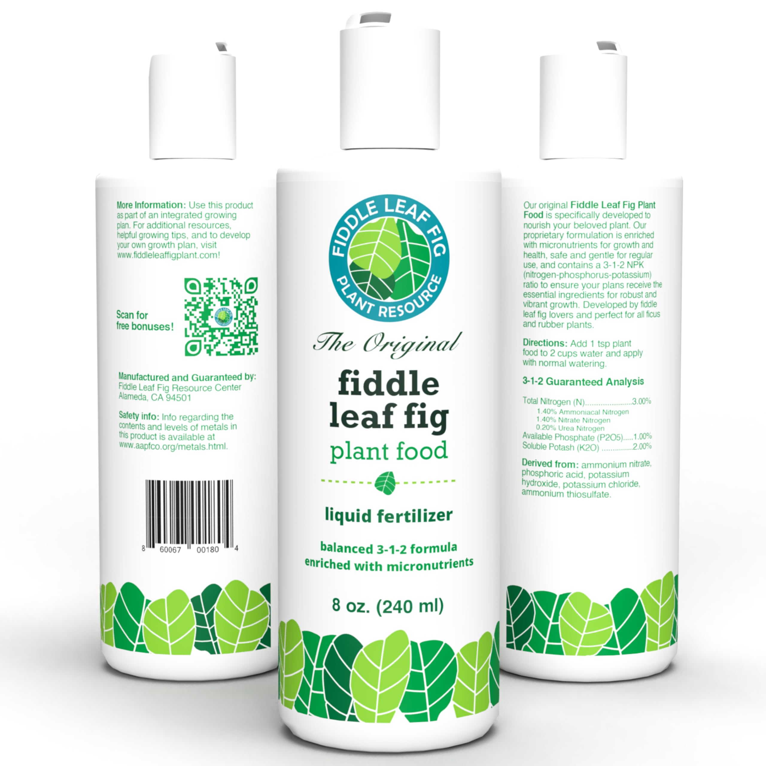 Care webinar cover offering expert tips for fiddle leaf fig care.