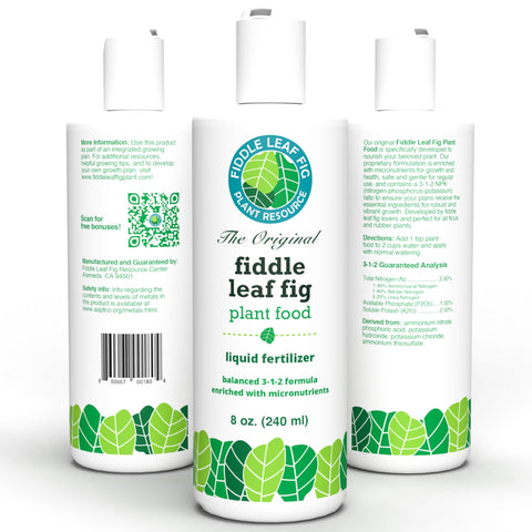 Care webinar cover offering expert tips for fiddle leaf fig care.