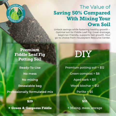 Fiddle Leaf Fig Plant Food 7.5L bag promotes faster growth and lush foliage