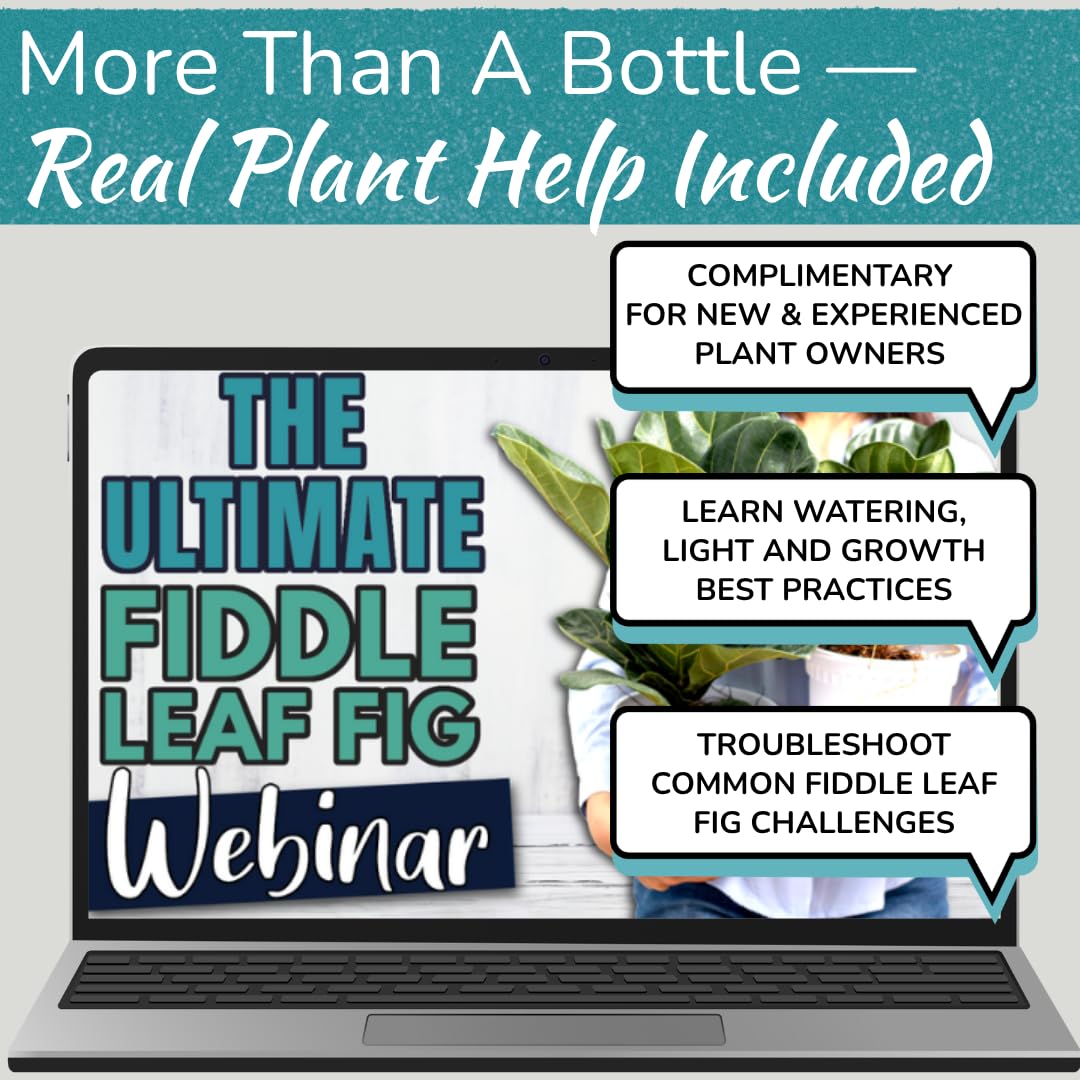 Fiddle Leaf Fig indoor-outdoor use supports versatile plant monitoring anywhere.