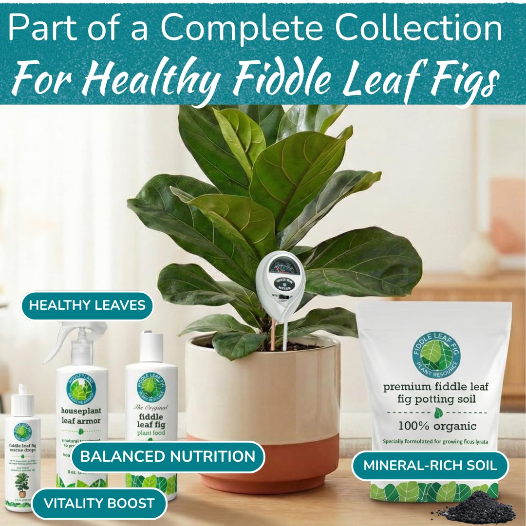 Fiddle Leaf Fig long probe-depth reveals deeper moisture conditions under soil.