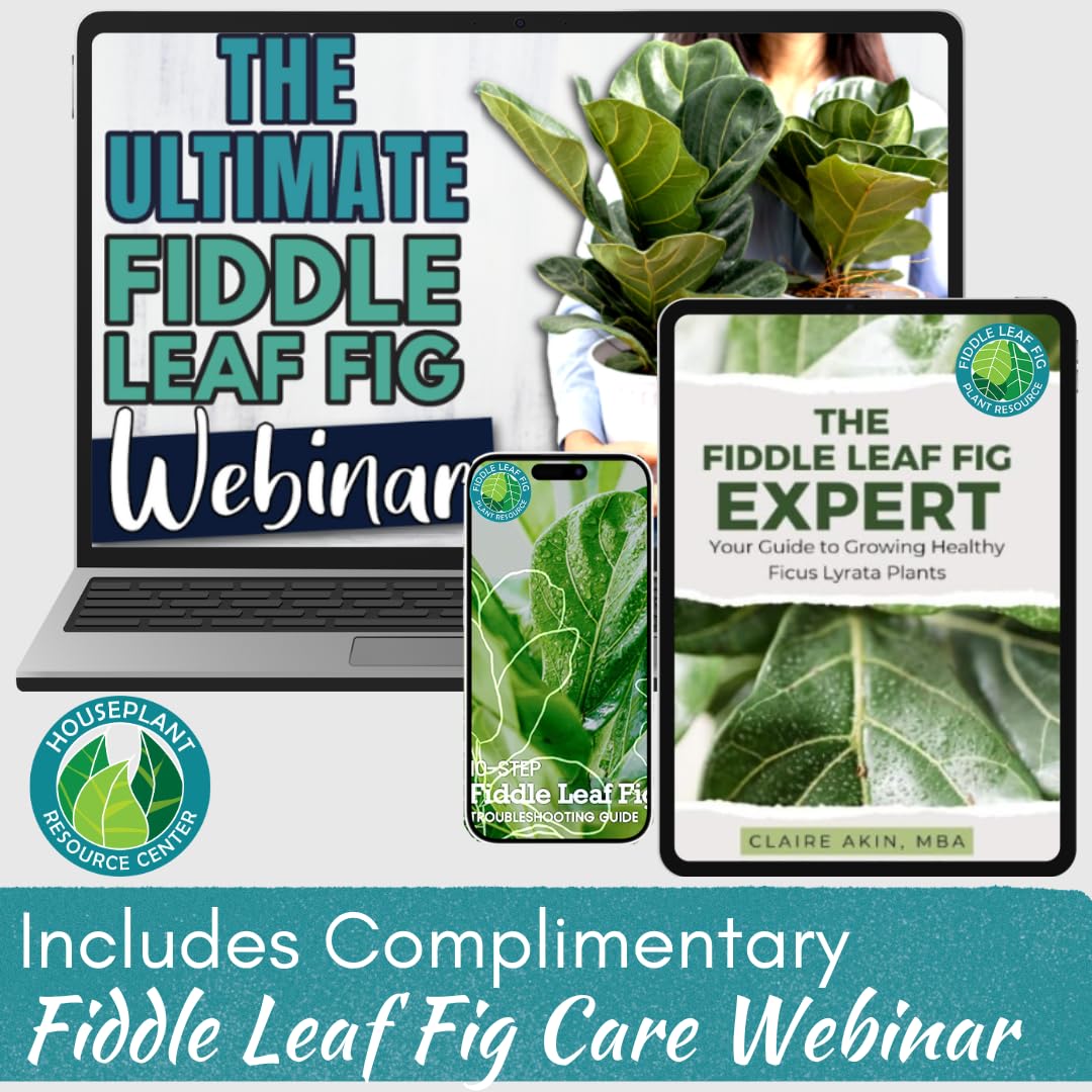 Fiddle Leaf Fig Plant Food resealable bag preserves freshness and quality