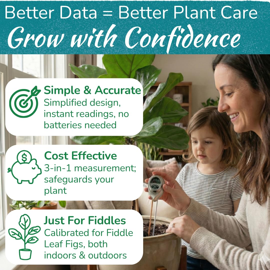Fiddle Leaf Fig pH and light sensor helps balanced soil and sun exposure.