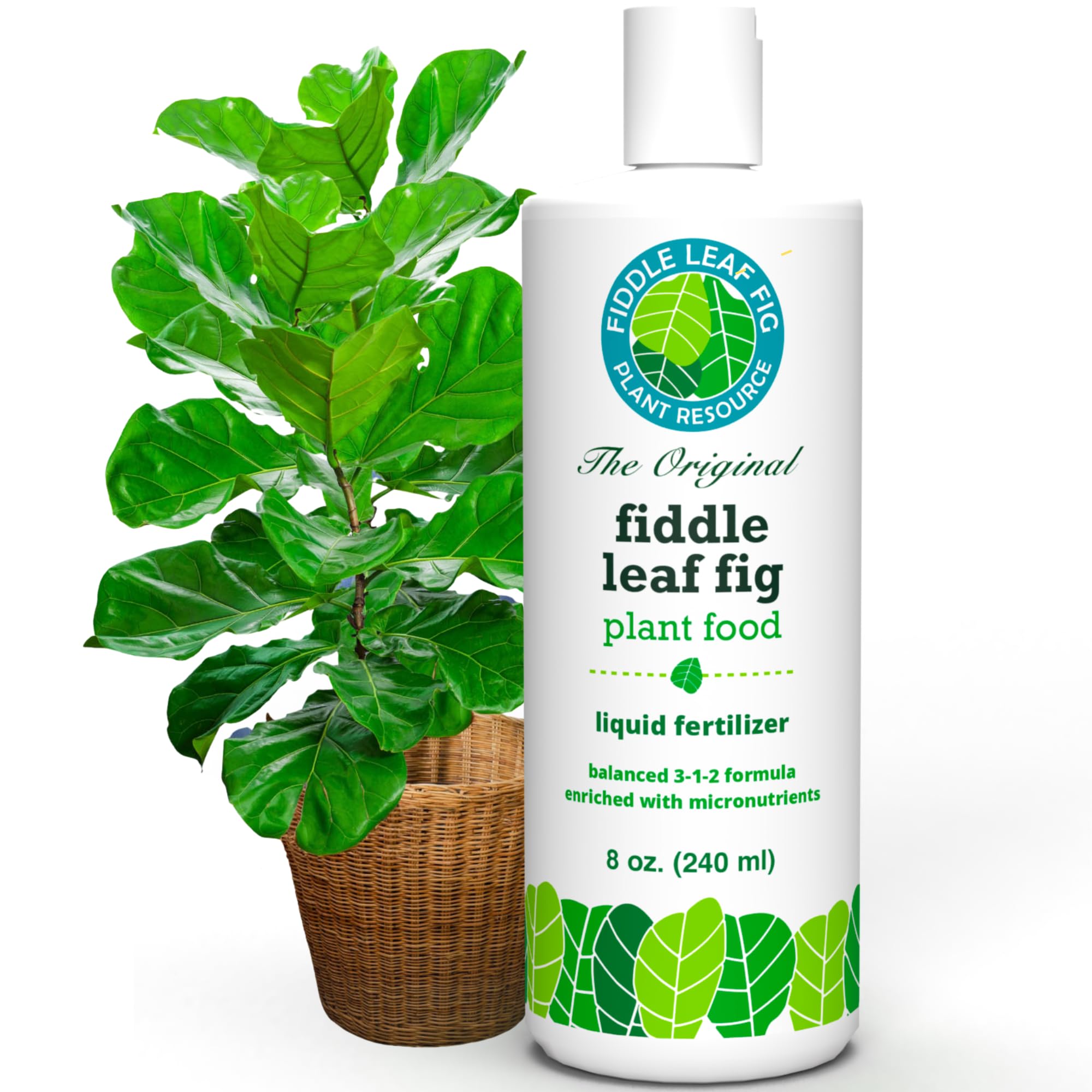Fiddle Leaf Fig Plant Food bottle for balanced nutrition and easy feeding.