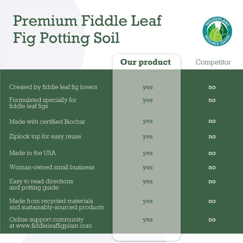 Fiddle Leaf Fig Plant Food encourages strong roots and healthy stems