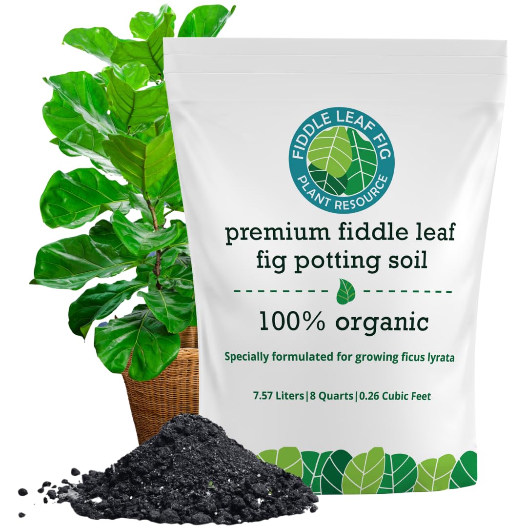 Fiddle Leaf Fig Plant Food 7.5L bag shows airy, nutrient-rich soil mix for healthy roots