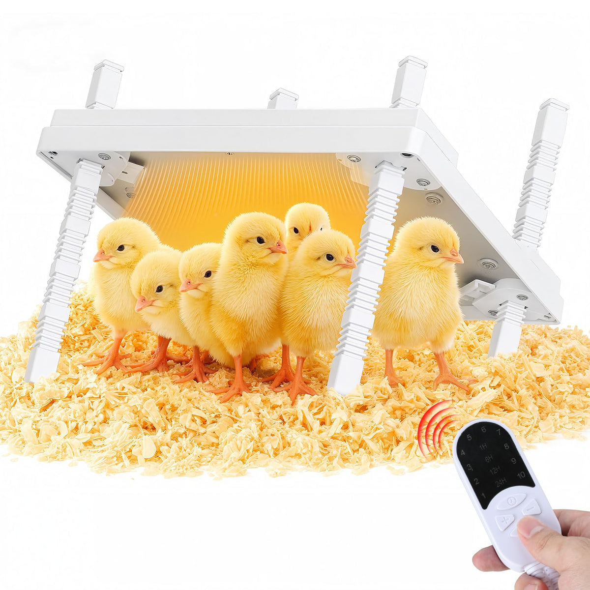Fiderix 12x12 chick heat plate top view shows even warmth for chicks