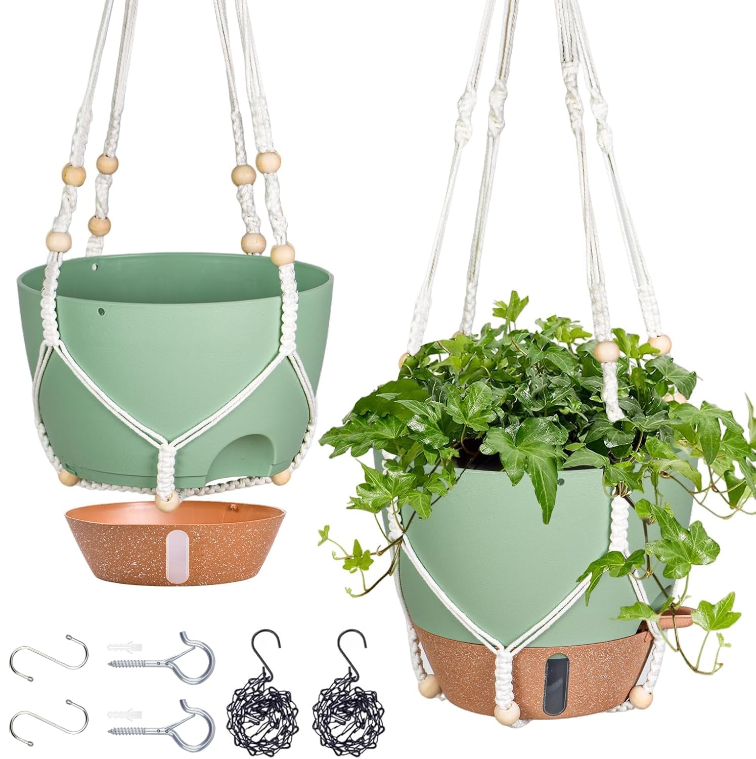Fielda 10-inch hanging planter with water window for easy moisture monitoring.
