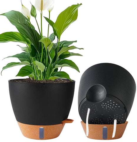 Fielda 10-inch self-watering planter with water reservoir for steady hydration.