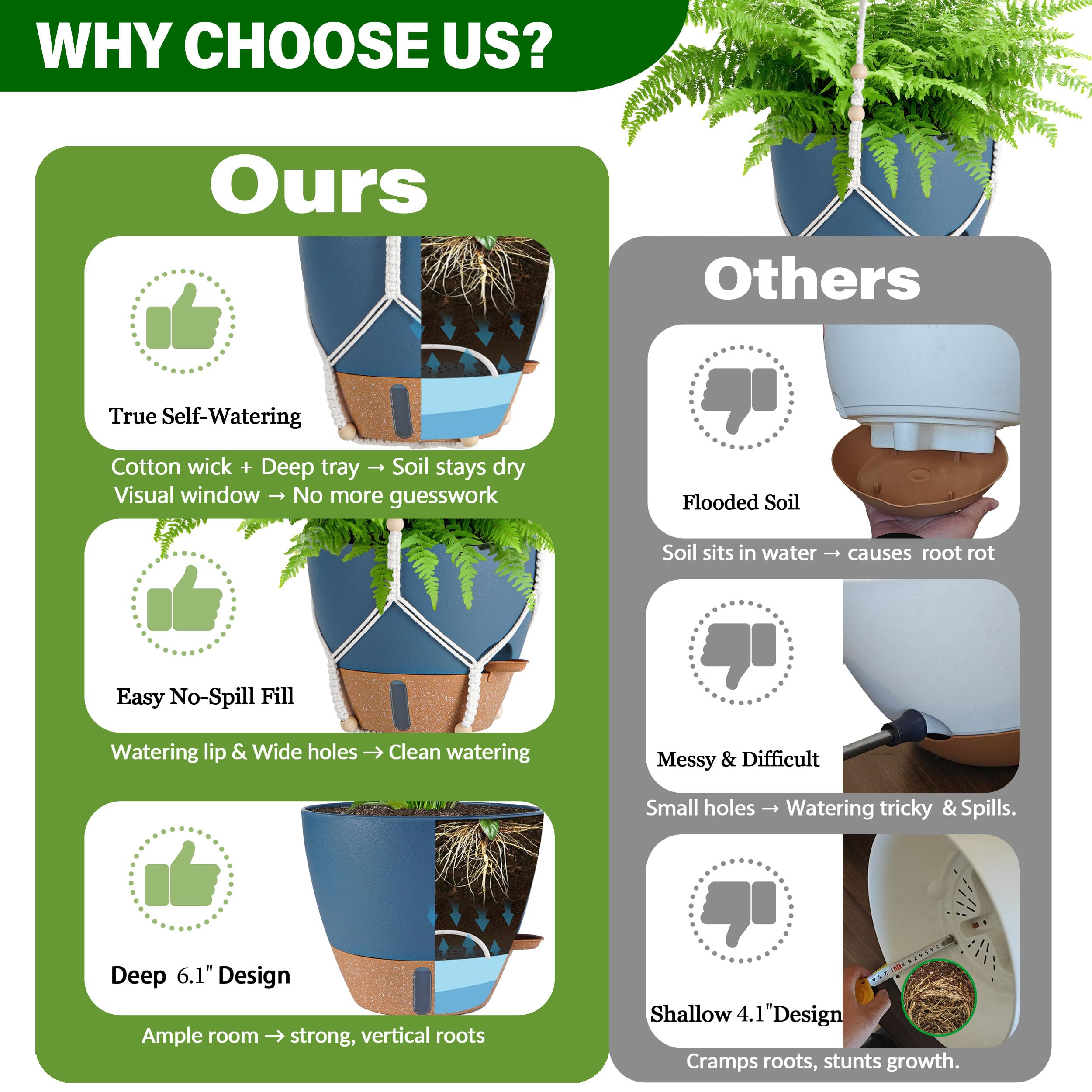 Fielda 10-inch wide opening ideal for larger mature plants