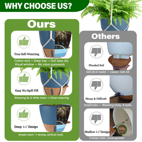 Fielda 10-inch wide opening ideal for larger mature plants