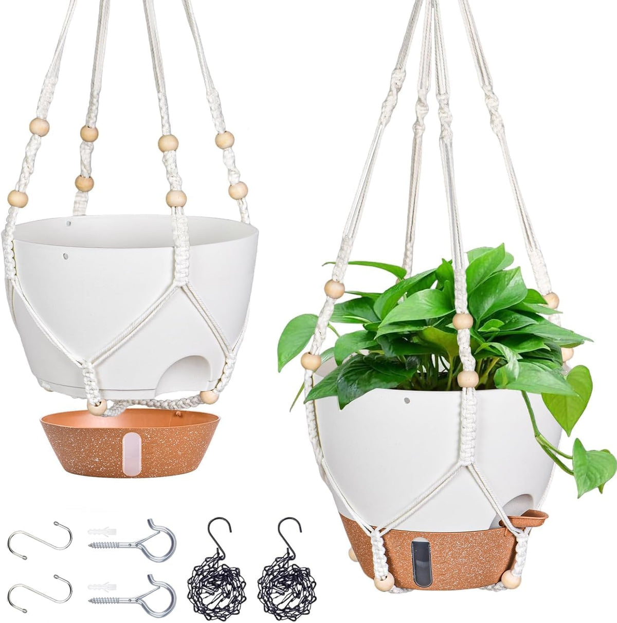 Fielda 10-inch hanging planter with water window for easy moisture checks and plant care.
