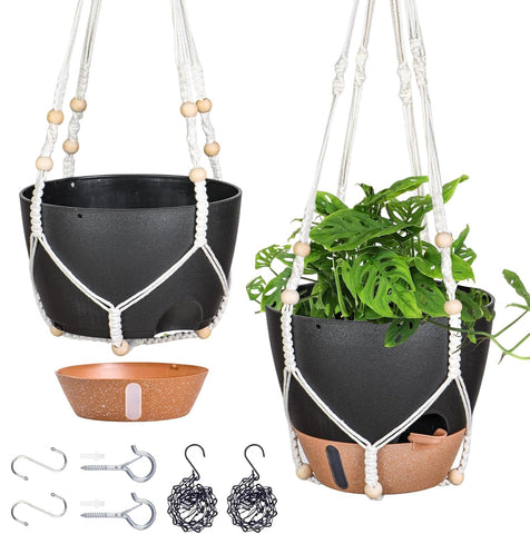 Fielda 10-inch hanging planter with visual water window for easy moisture checks.
