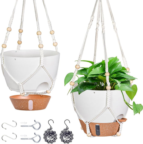 Fielda 10-inch hanging planter with water window for easy moisture checks and plant care.