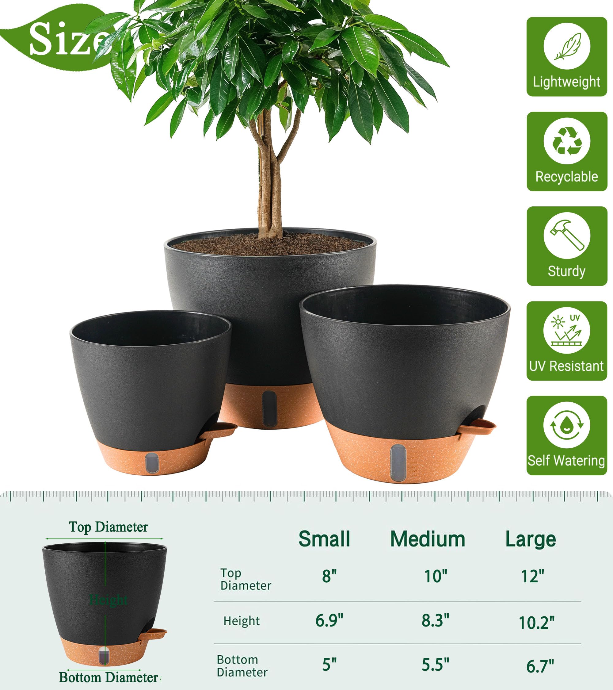 Fielda 12-inch self-watering pot top view, supports big plants with elegant presence.