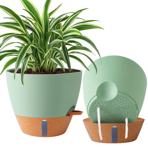 Fielda 2-pack 10-inch self-watering planters with built-in reservoir for hydration.
