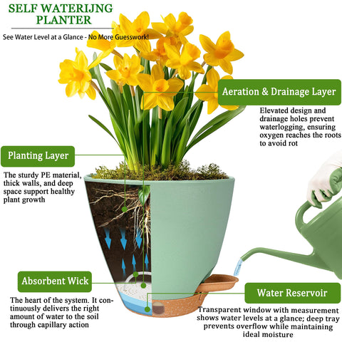 Fielda 5-pack gift-ready set includes pots, trays, and labels for gifting.