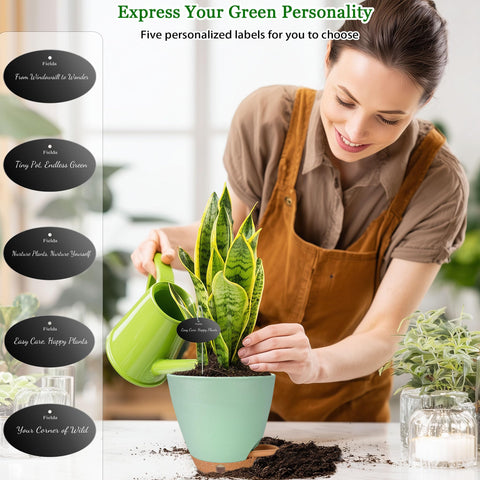 Fielda self-watering pot tray provides leak-proof saucer and easy water management.