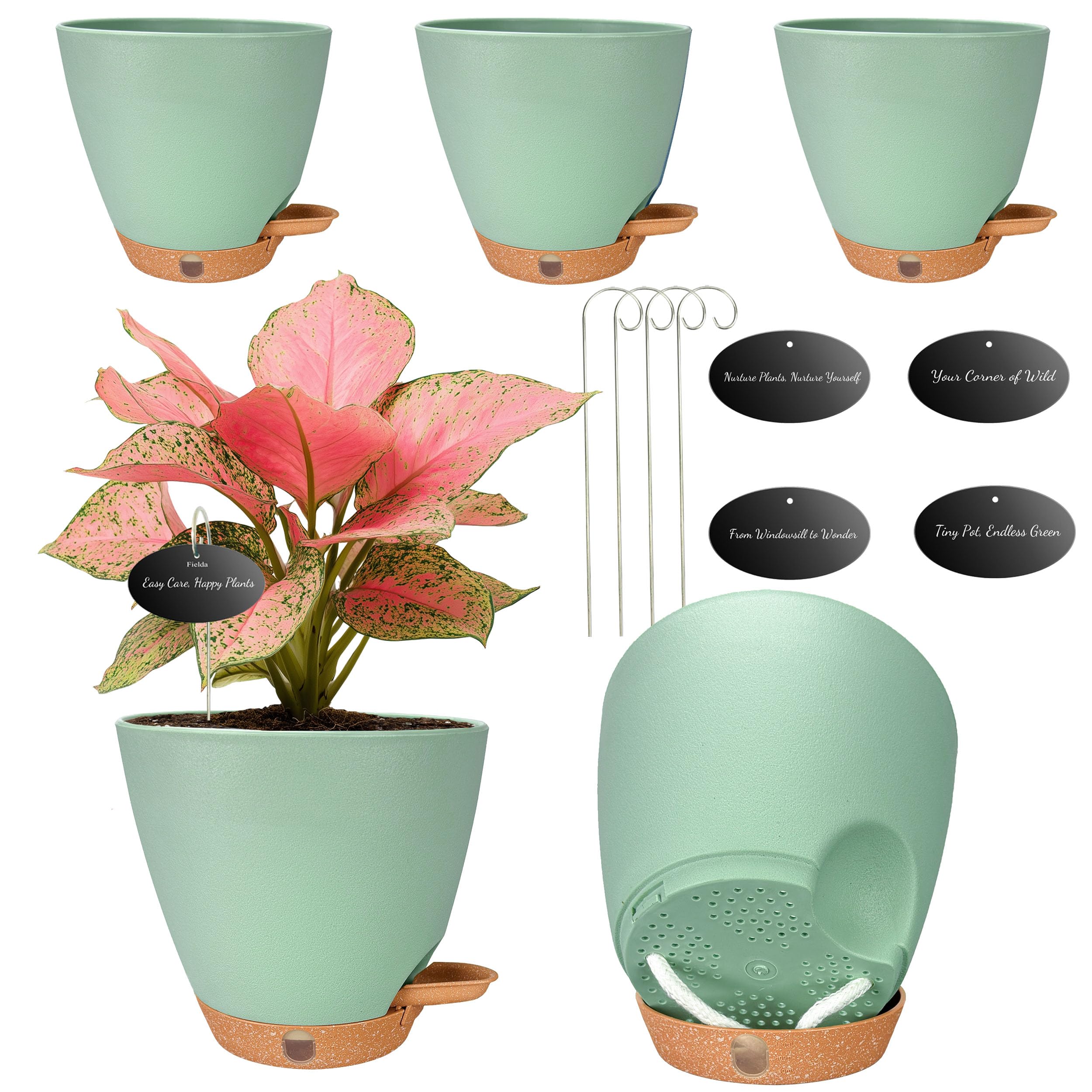 Fielda 6-inch self-watering pot with water window for easy hydration monitoring.