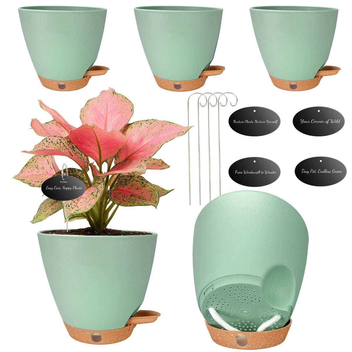 Fielda 6-inch self-watering pot with water window for easy hydration monitoring.