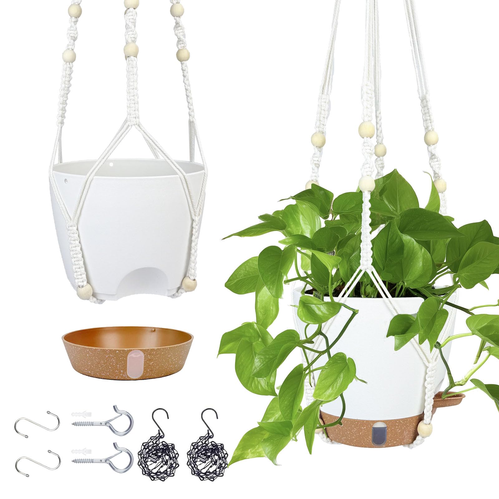 Fielda 8-Inch hanging planter with water window for easy moisture checks