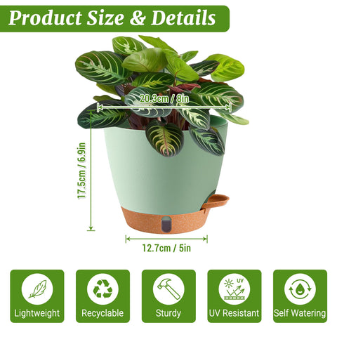 Fielda 8-inch pot with deep reservoir for extended hydration