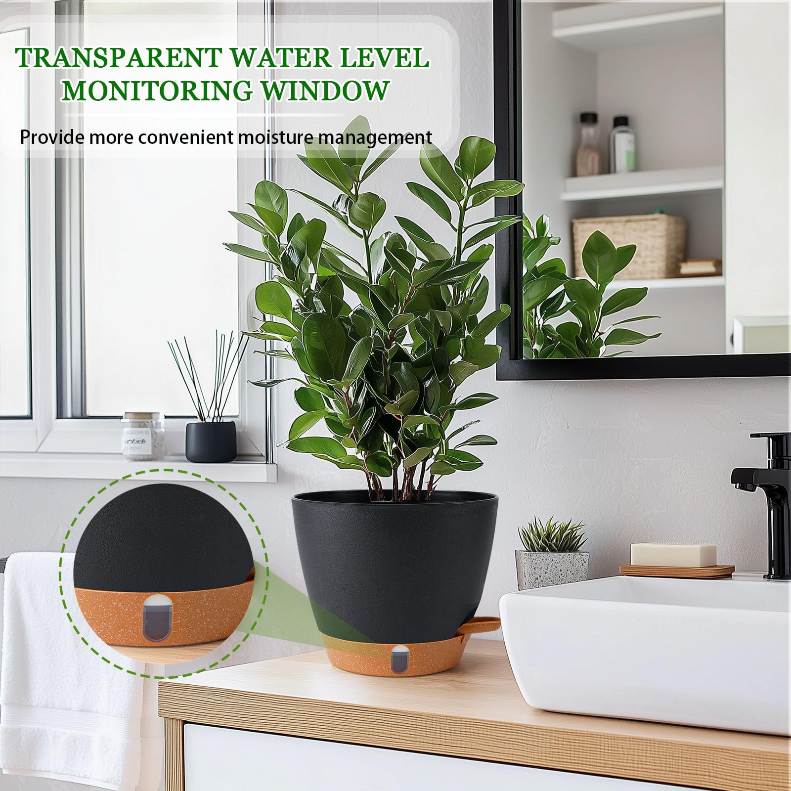 Fielda 8-inch pot deep reservoir provides steady moisture access.