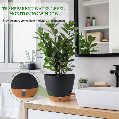 Fielda 8-inch pot deep reservoir provides steady moisture access.