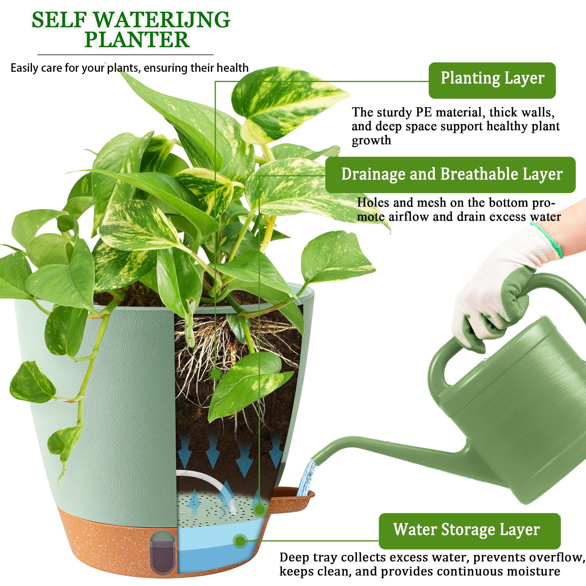 Fielda 8-inch pot with detachable tray for simple cleaning