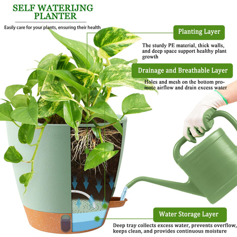 Fielda 8-inch pot with detachable tray for simple cleaning