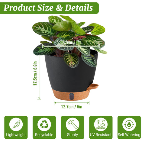 Fielda durable plastic 8-inch pot designed for indoor and outdoor use.