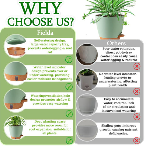 Fielda 8-inch minimalist design planter that complements any decor