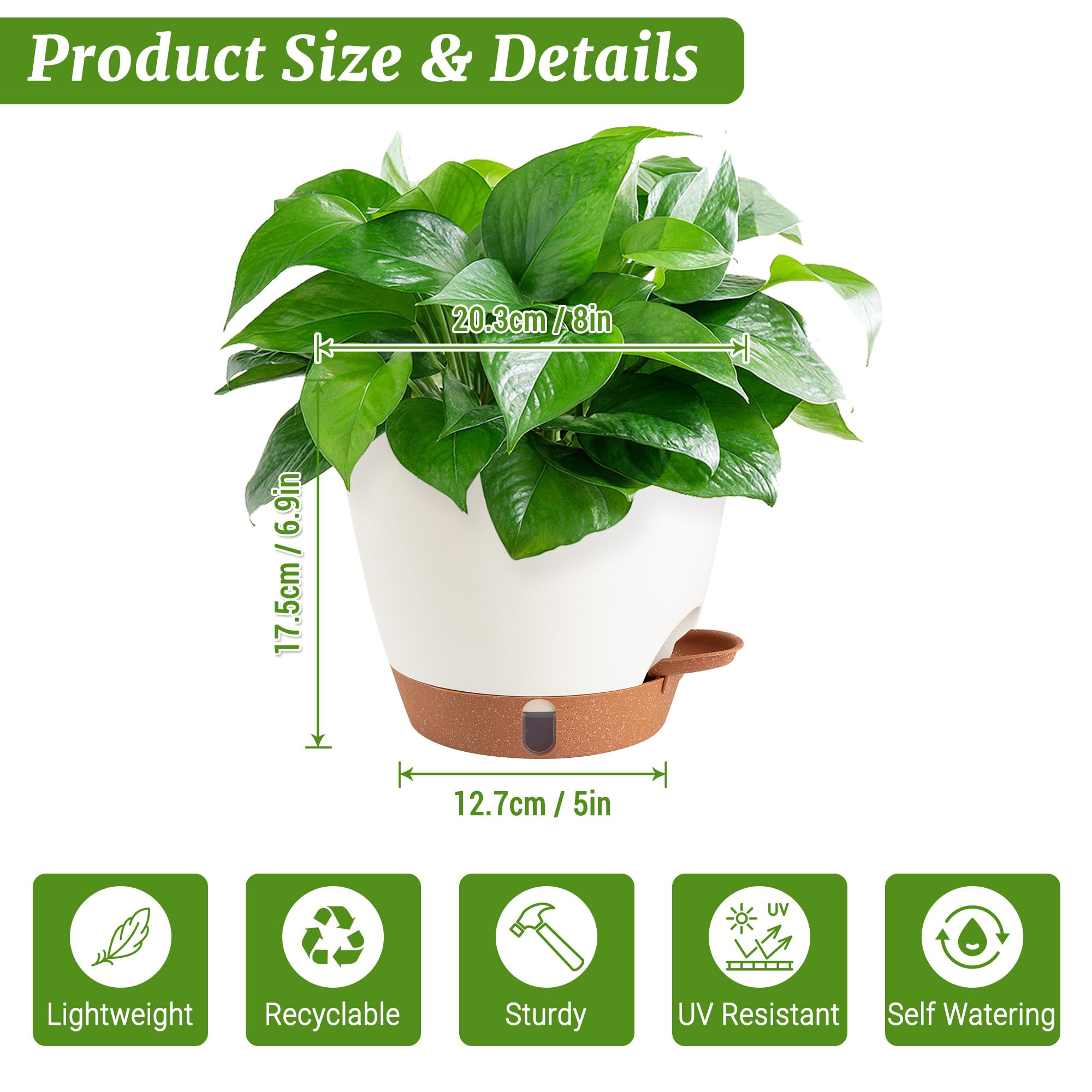 Fielda 8inch self-watering pot with detachable tray visible for simple cleaning.