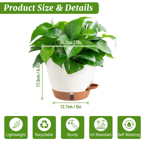 Fielda 8inch self-watering pot with detachable tray visible for simple cleaning.
