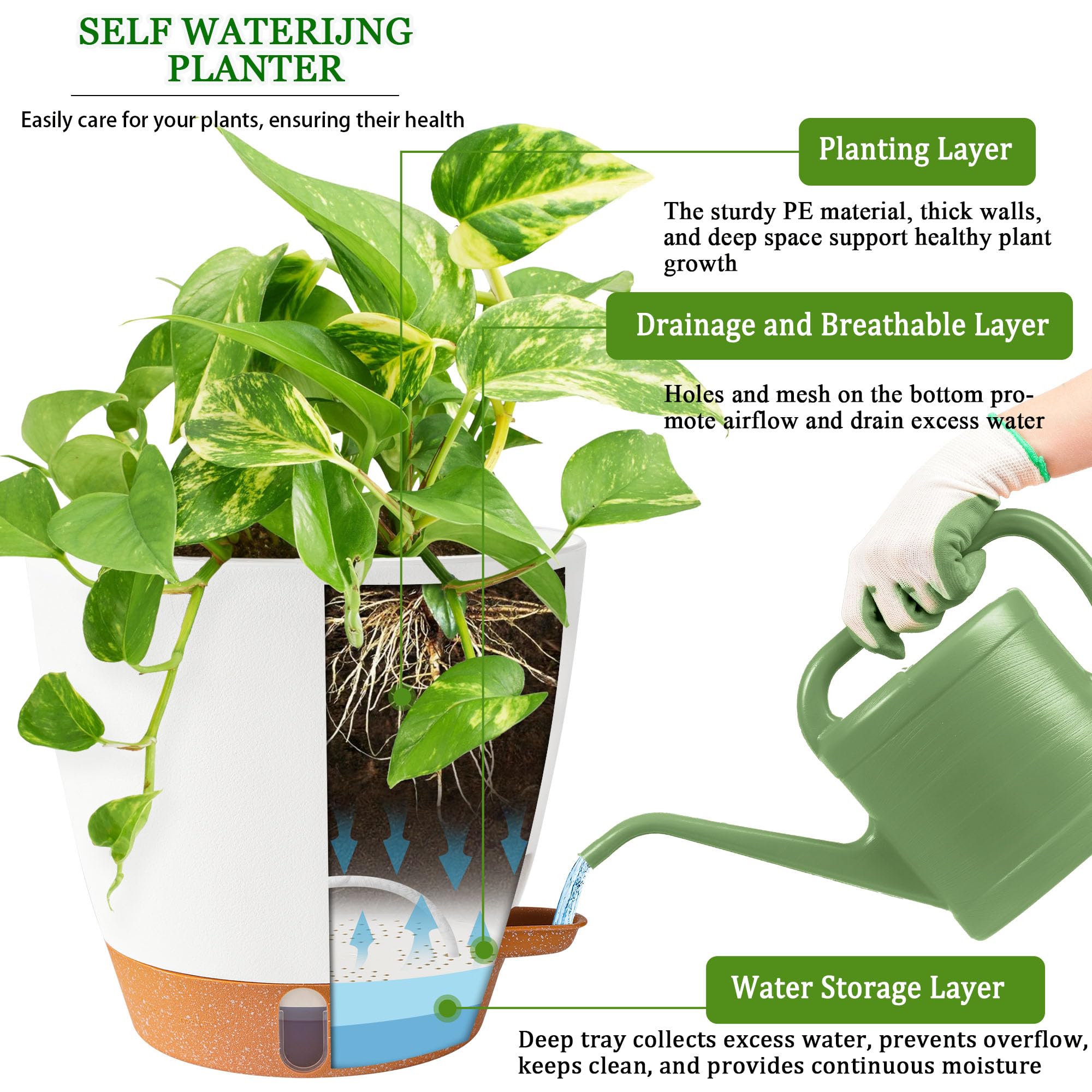 Fielda 8inch self-watering pot clear water indicator and sturdy plastic for durability.