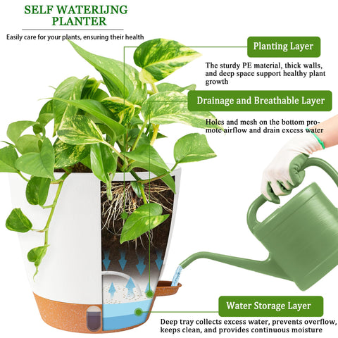 Fielda 8inch self-watering pot clear water indicator and sturdy plastic for durability.