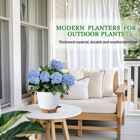 Fielda 8inch self-watering pot minimalist design complements modern decor.