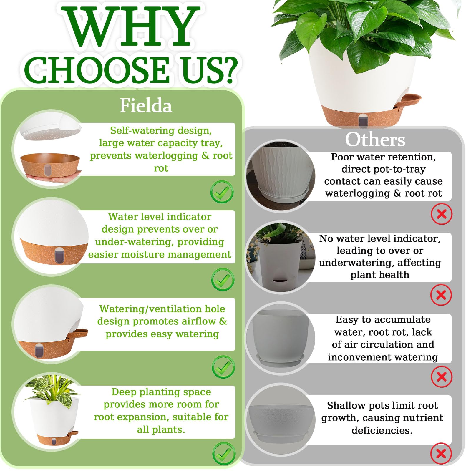 Fielda 8inch self-watering pot two-pack set enables flexible plant arrangements.