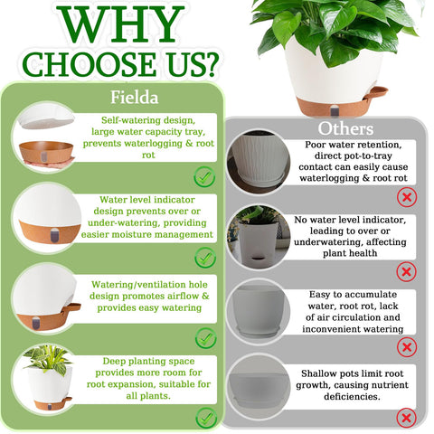 Fielda 8inch self-watering pot two-pack set enables flexible plant arrangements.